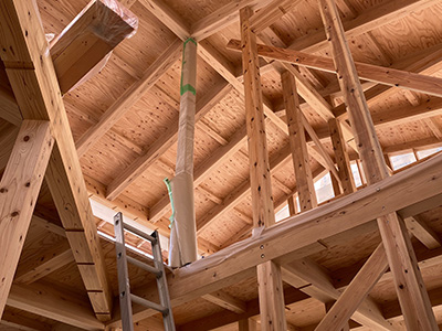 監理　イメージ画像